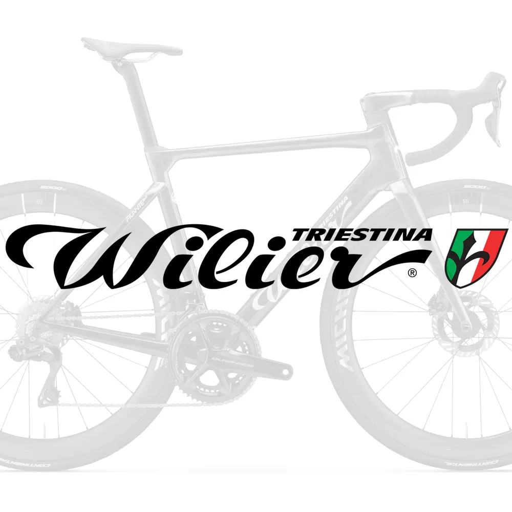Болты Wilier для флягодержателя алю. золото